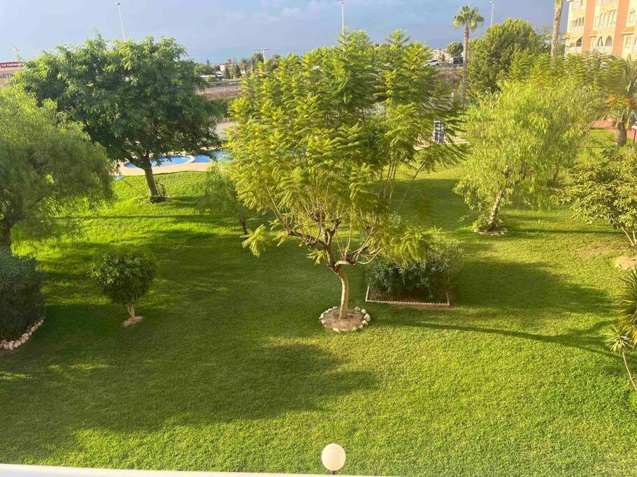 Casa Di Mateo With Garden View And Swimming Pool Apartment ตอร์เรเวียคา ภายนอก รูปภาพ